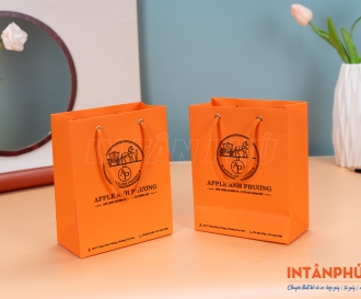  In Túi Giấy Giá Rẻ Tại TPHCM – Kinh Nghiệm Lựa Chọn Xưởng In Uy Tín