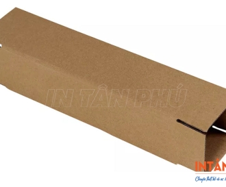 In hộp Carton dài giá rẻ