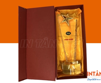 In hộp đựng kỷ niệm chương cao cấp, giá xưởng tại TPHCM