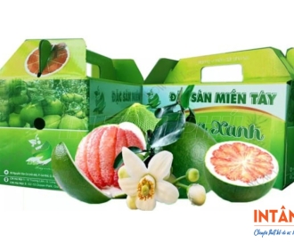 In hộp carton đựng bưởi
