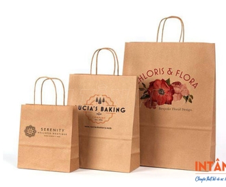 In túi Kraft nâu giá rẻ