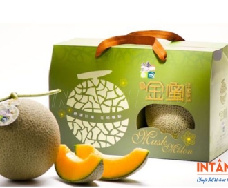 In hộp carton đựng dưa lưới