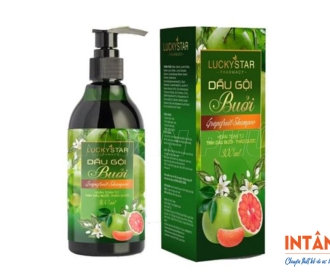 In hộp giấy đựng dầu gội chuyên nghiệp