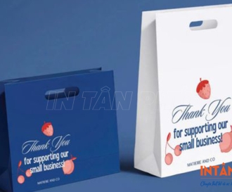 In túi giấy sự kiện chuyên nghiệp, giá rẻ | Thiết kế theo yêu cầu