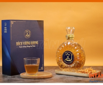 In hộp giấy đựng rượu đông trùng hạ thảo