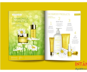 In Brochure Mỹ Phẩm Đẹp – Giải Pháp Quảng Bá Thương Hiệu Tiết Kiệm, Hiệu Quả