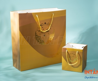 In túi giấy ngân hàng chuyên nghiệp, thiết kế theo yêu cầu