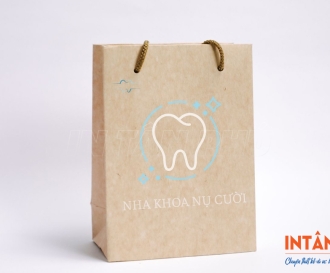 In Túi Giấy Nha Khoa Chuyên Nghiệp – Thiết Kế Theo Yêu Cầu, Giá Xưởng Tại In Tân Phú