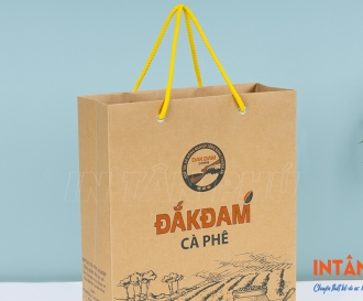 In túi giấy Kraft có quai xách