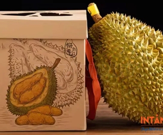 In hộp giấy đựng sầu riêng