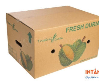 In thùng carton đựng trái cây xuất khẩu