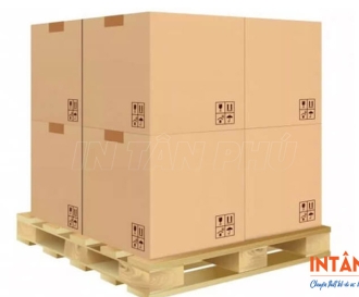In thùng carton cỡ lớn