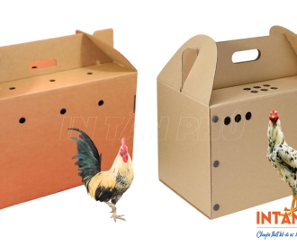 In thùng carton đựng gà giá rẻ - Giải pháp bao bì gọn nhẹ, tiện lợi