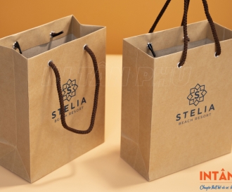 In túi giấy Kraft giá rẻ