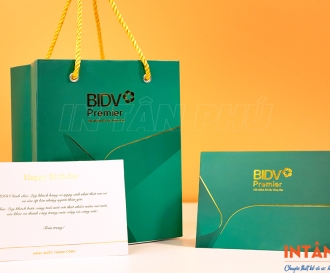 Túi giấy in logo theo yêu cầu