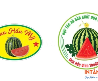 In Tem Dưa Hấu Chuyên Nghiệp – Nâng Cao Giá Trị Nông Sản, Gia Tăng Nhận Diện Thương Hiệu