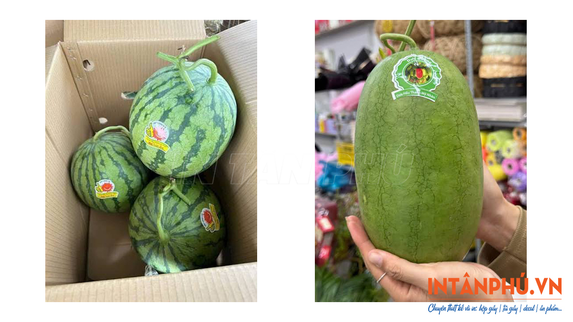 Mẫu Tem dán dưa hấu đẹp