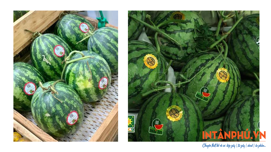 Mẫu tem dán dưa hấu đẹp