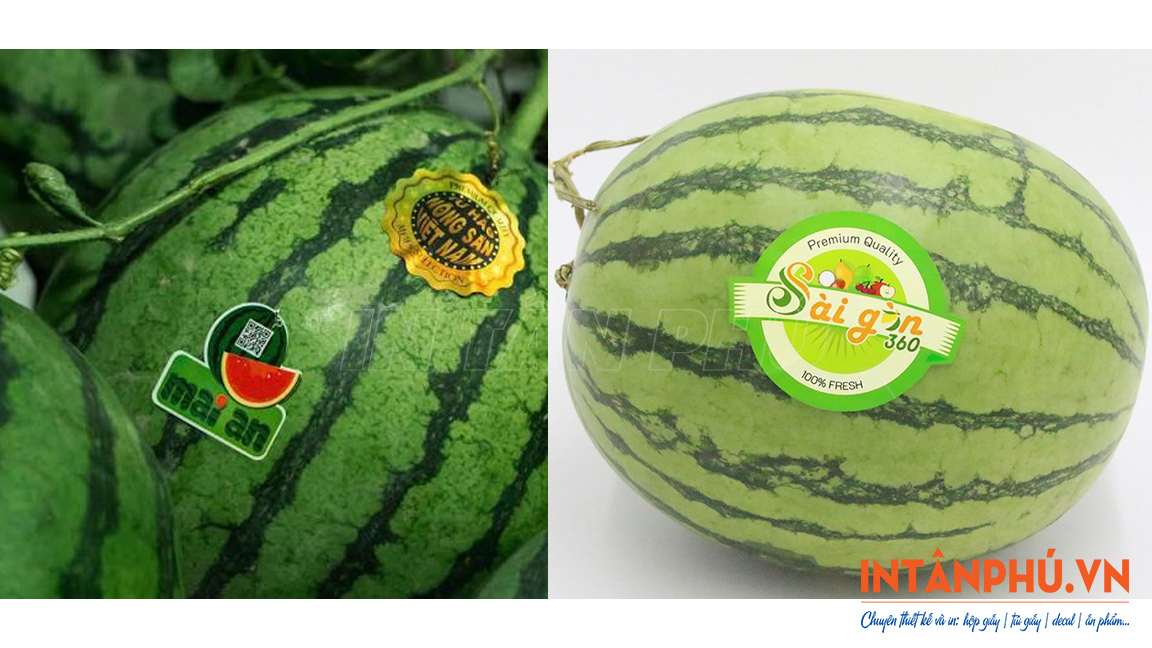 Mẫu tem dán dưa hấu đẹp
