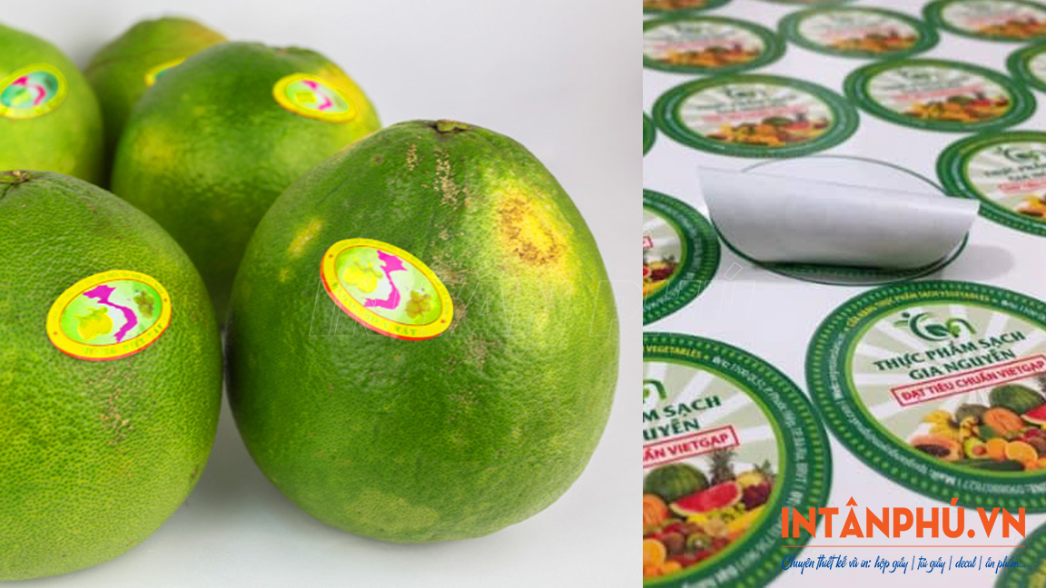 Mẫu tem nông sản, rau củ, trái cây đẹp