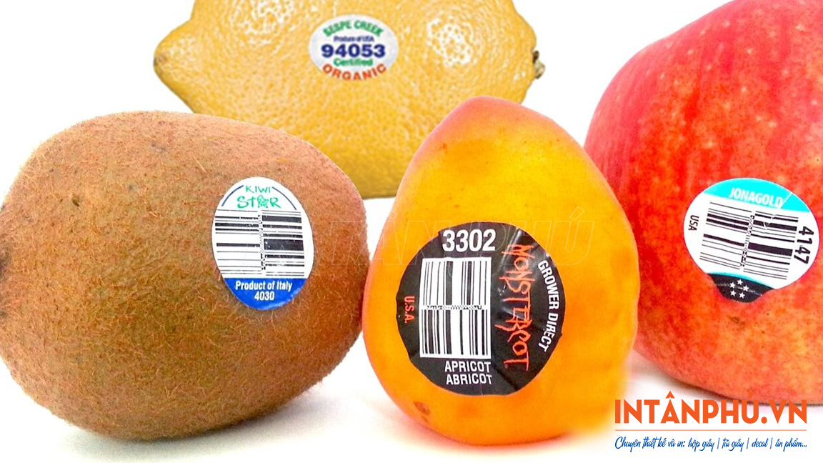 Mẫu tem nông sản, rau củ, trái cây đẹp