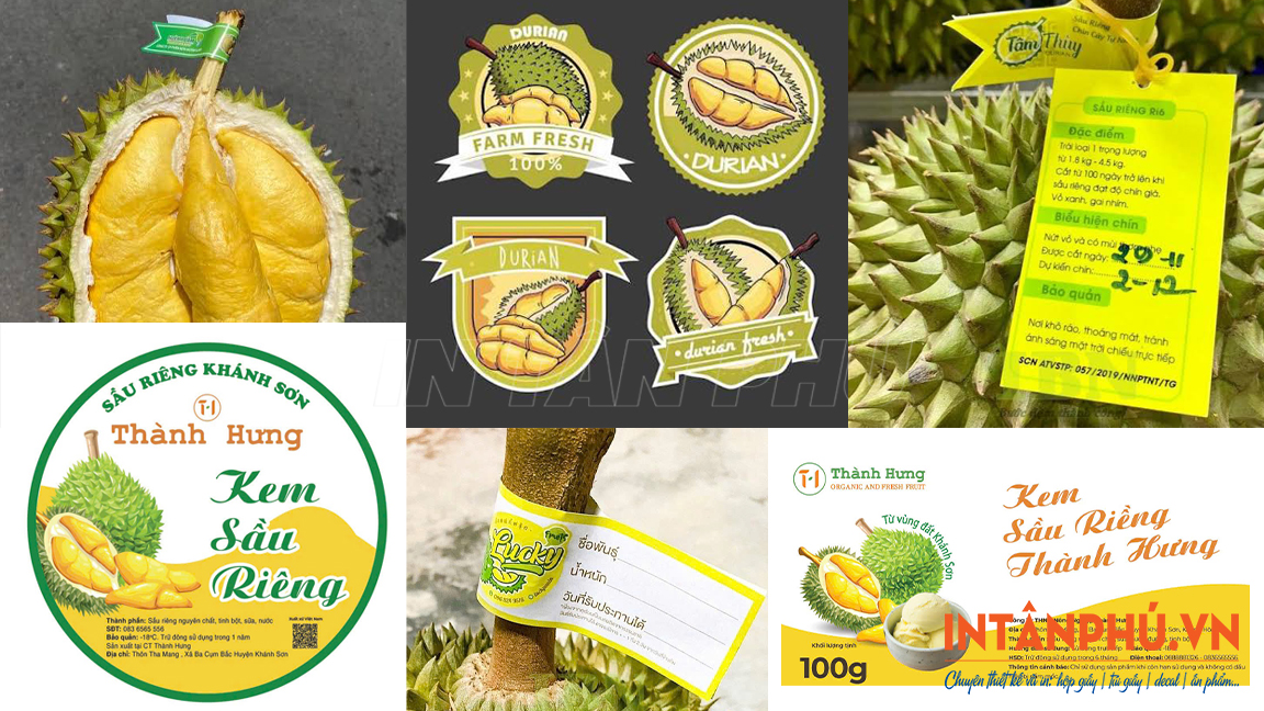 Các loại tem dán sầu riêng phổ biến
