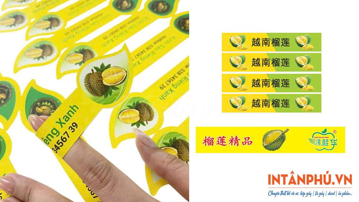 Mẫu tem sầu riêng đẹp