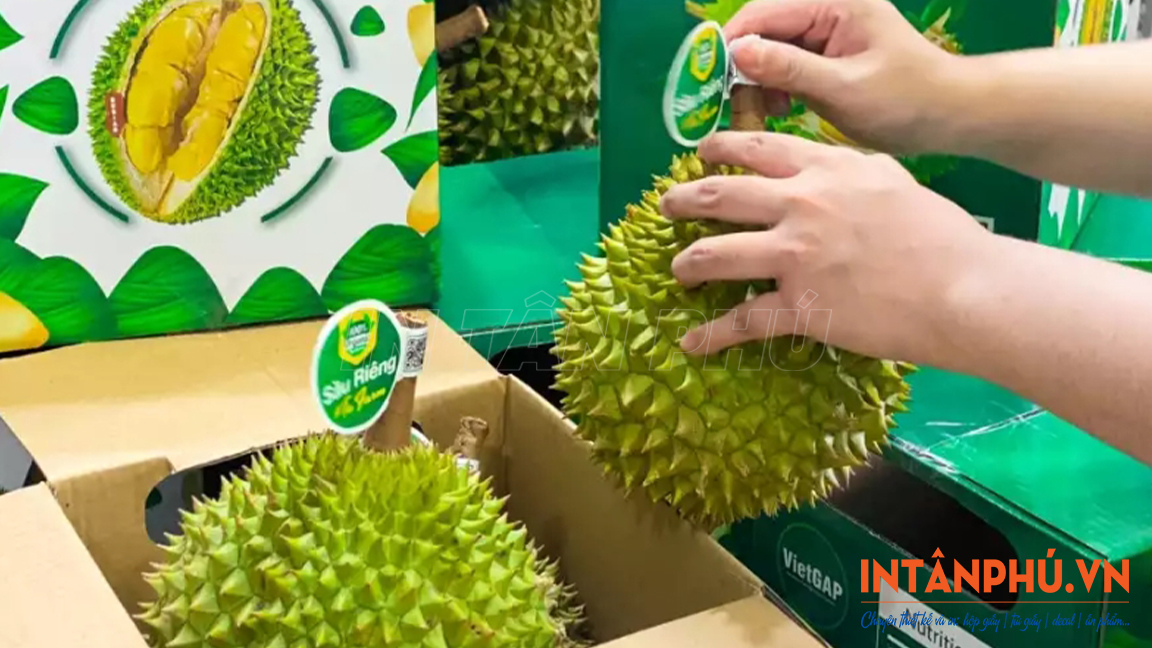 Mẫu tem dán cuống sầu riêng đẹp