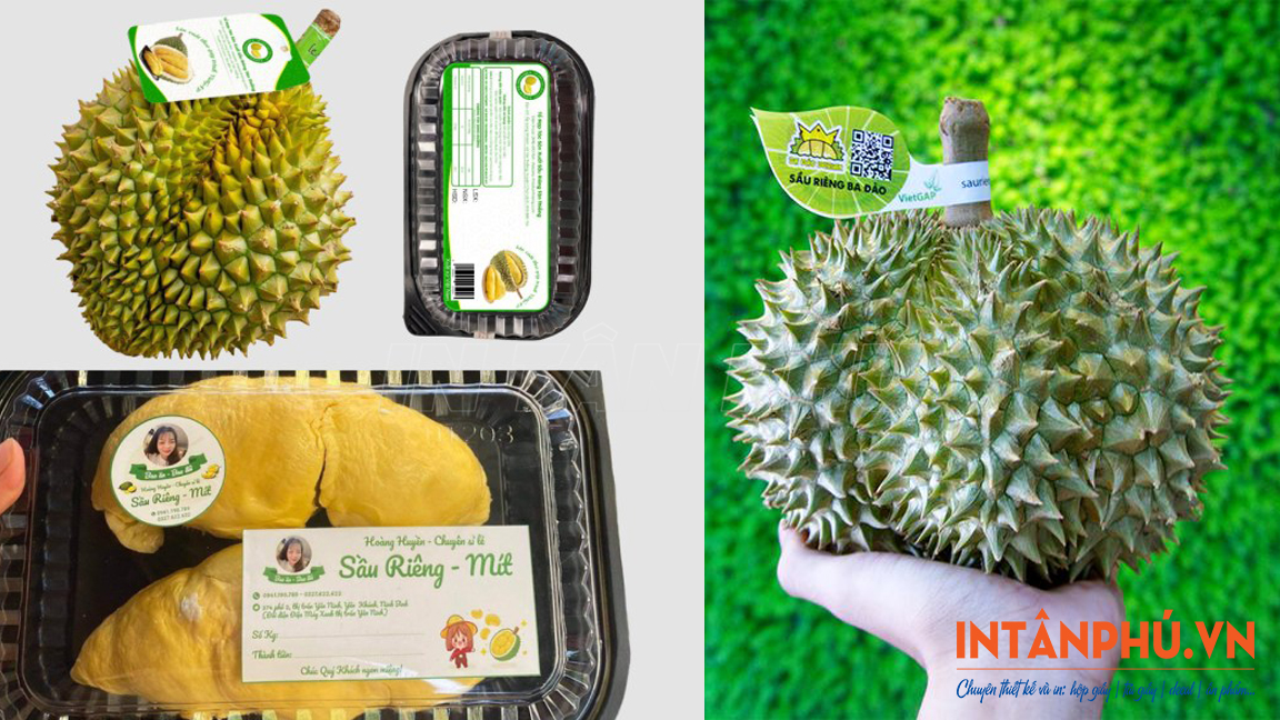 Mẫu tem sầu riêng đẹp