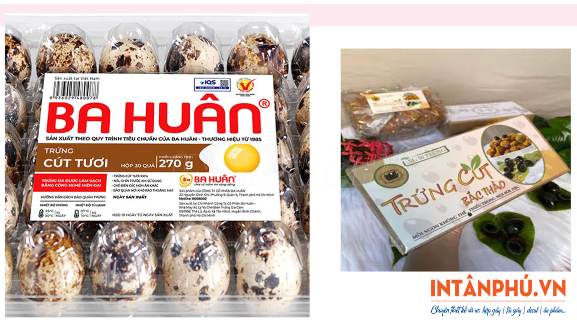 Mẫu tem nhãn hộp trứng gà đẹp