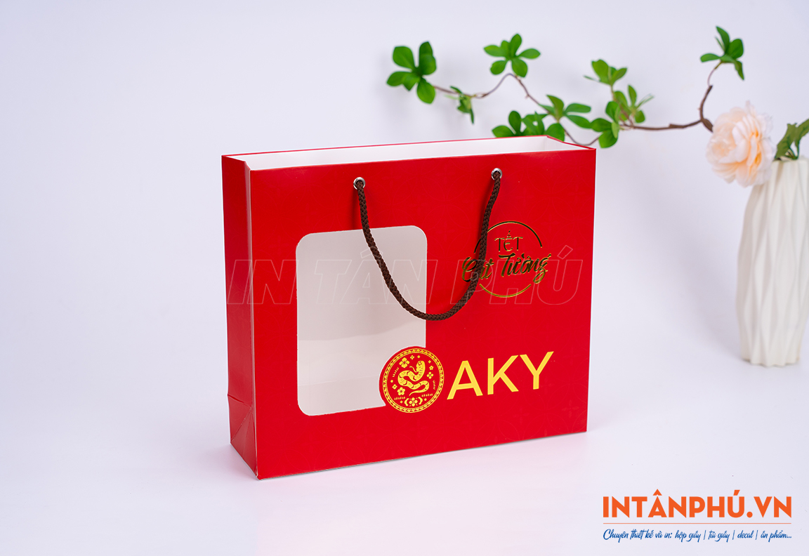In túi giấy giá rẻ, thiết kế theo yêu cầu tại In Tân Phú