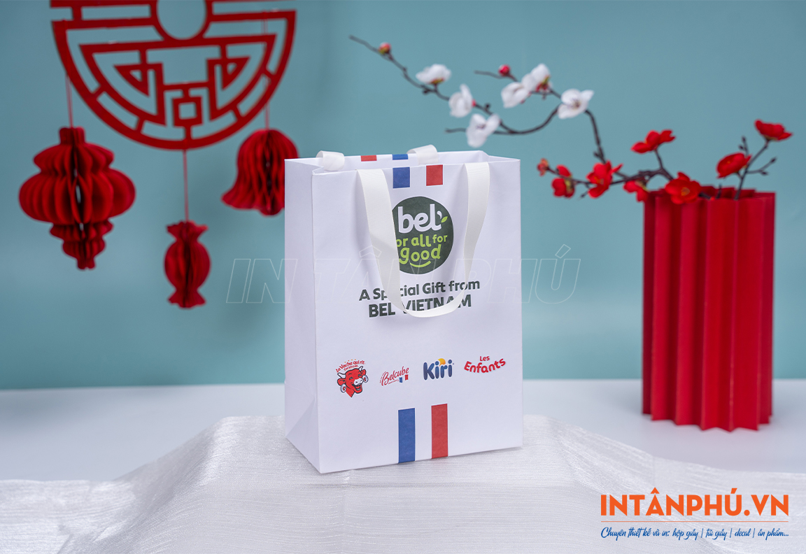 In túi giấy giá rẻ tại In Tân Phú