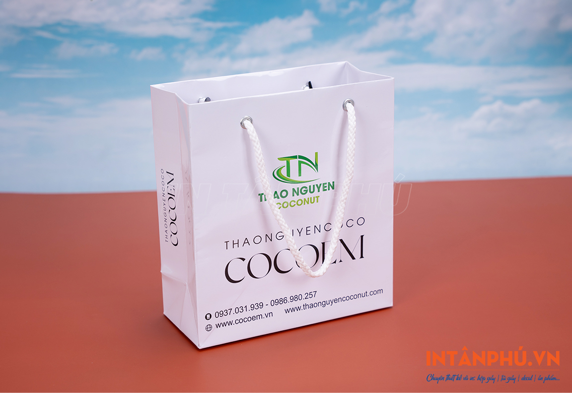 Mẫu túi giấy cao cấp in logo